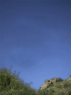 file_7539517