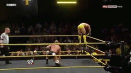 Moonsault into a Tornado DDT
