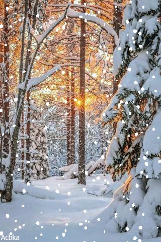 file_80452690