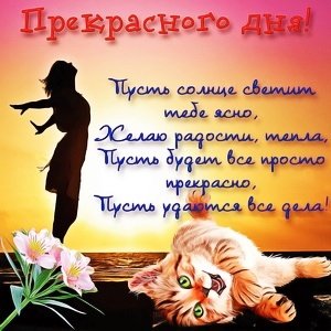 IMG 20181116 141031
