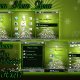 Green New Year