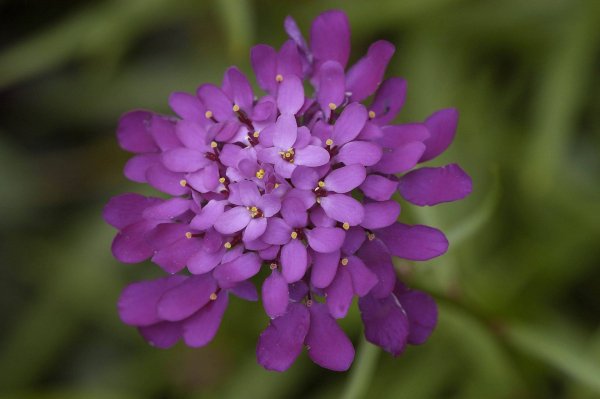 Img (35)