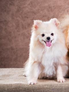 file_73867035