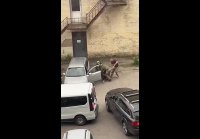 Город Луцк