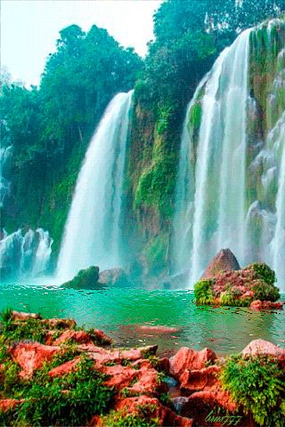 file_49715589