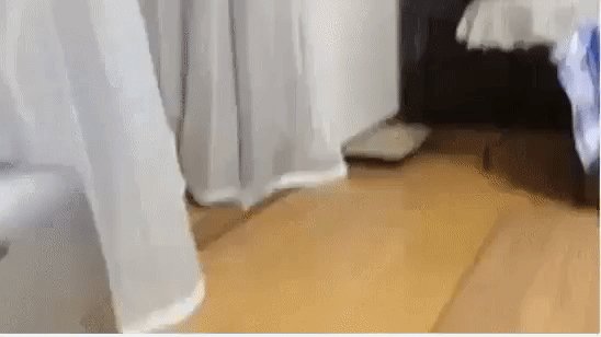 Котик ходит