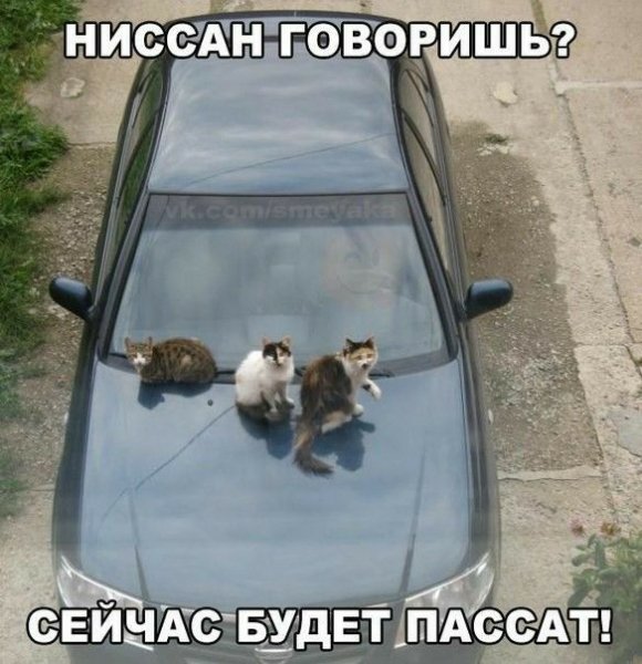 IMG 20260910 144514 952