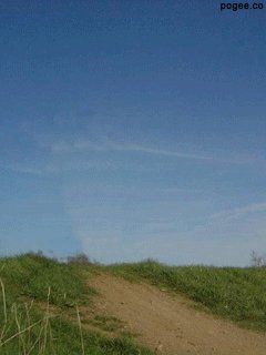 file_7539826