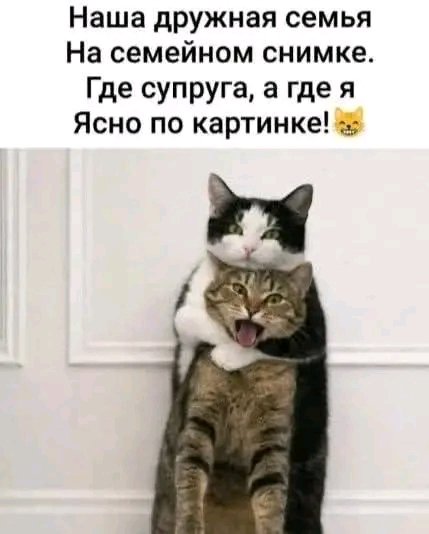 file_103353350