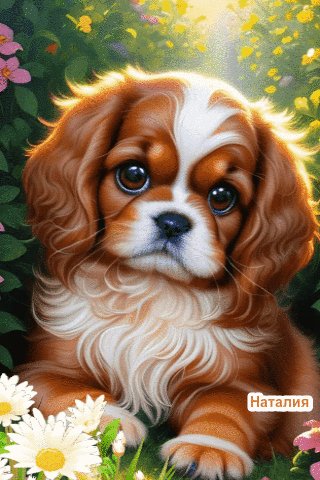 file_100467278