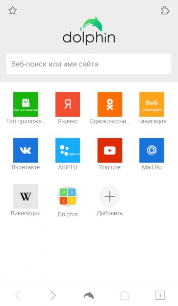 Dolphin Browser 12.2.9 881