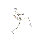 Gif (664)