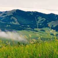 Scenic-view-field-against-sky 1048944-11172104