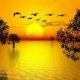 Nature gold закат рассвет