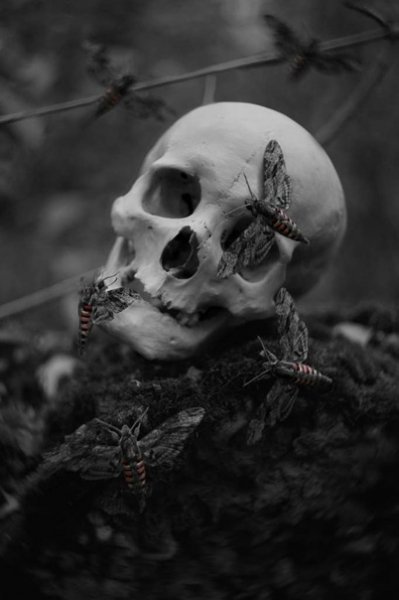file_89486575