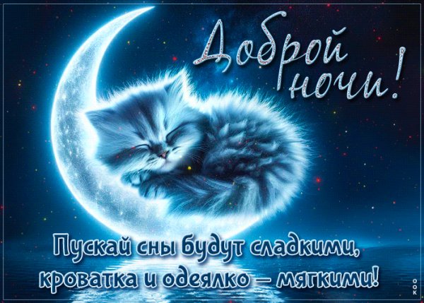 file_100528712