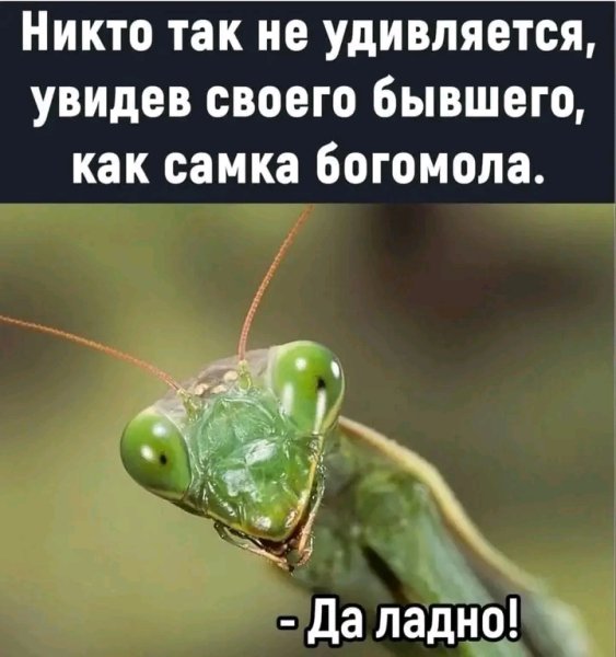 file_103597589