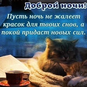 IMG 20181119 172157