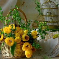 yellow-tulips1