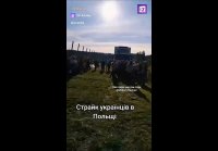Бандэры на полях Польши