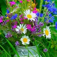 file_103170005