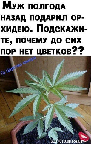 I (2)-