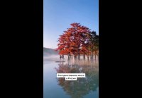 video_109560879