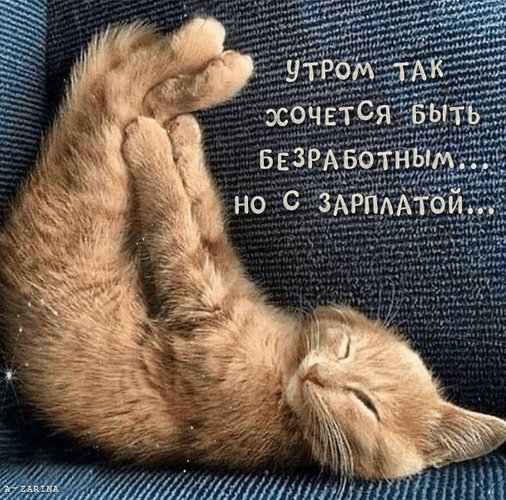 анимированная открытка утром так хочется