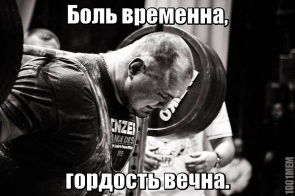 zP7uMXS4mxA