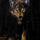 Wolf Animated