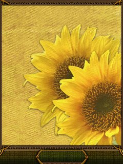 Sun Flower
