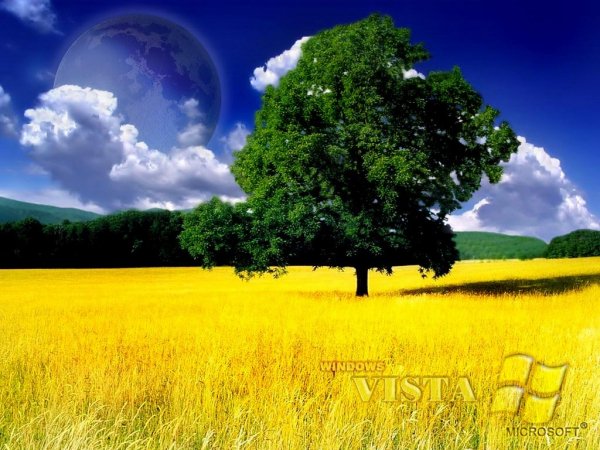 CornField