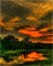 Красивая природа