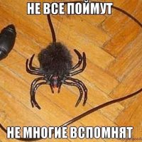 вырослишдшдшдшщ