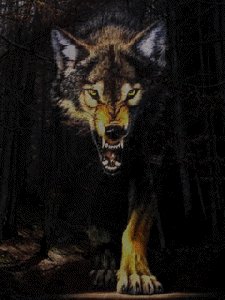 Wolf Animated