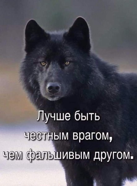 Лучше быть