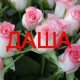 Dasha