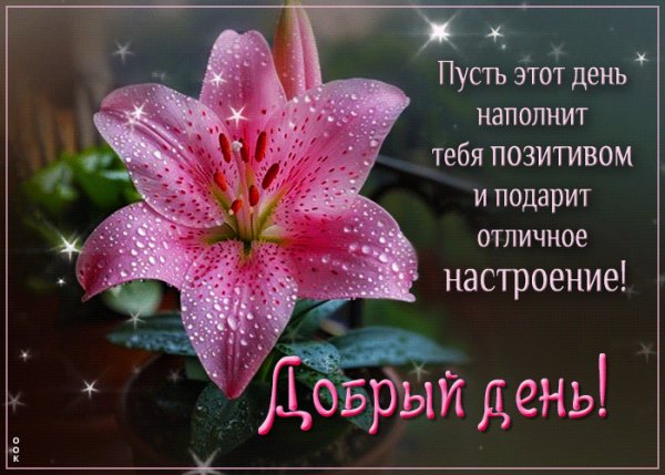file_98994142