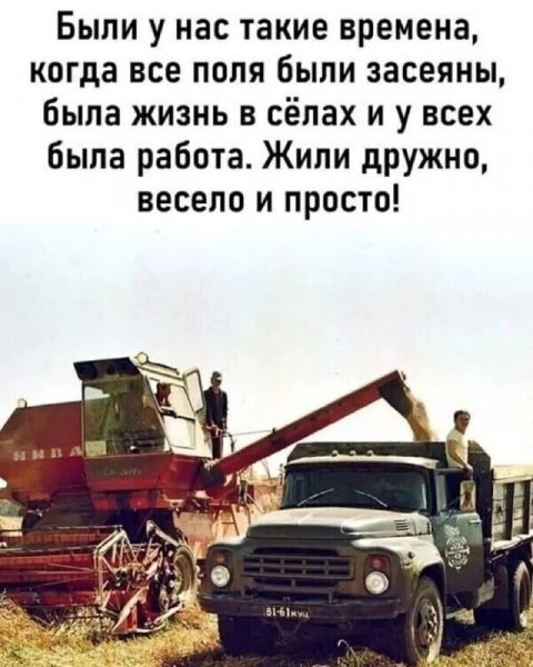 IMG 20231113 073441