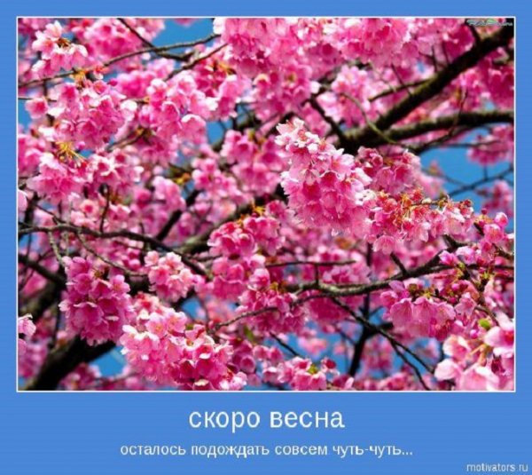ВЕСНА