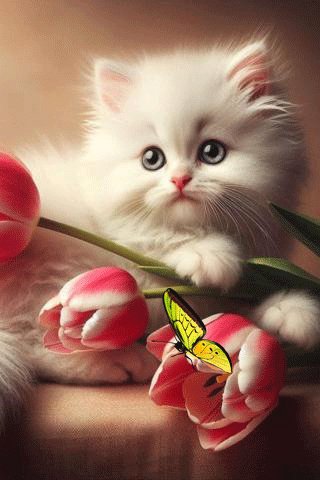 file_99184596