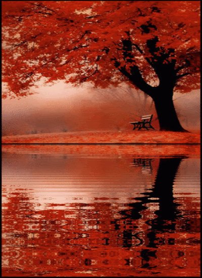 Scenic-view-of-autumn-red-tree-water-ref