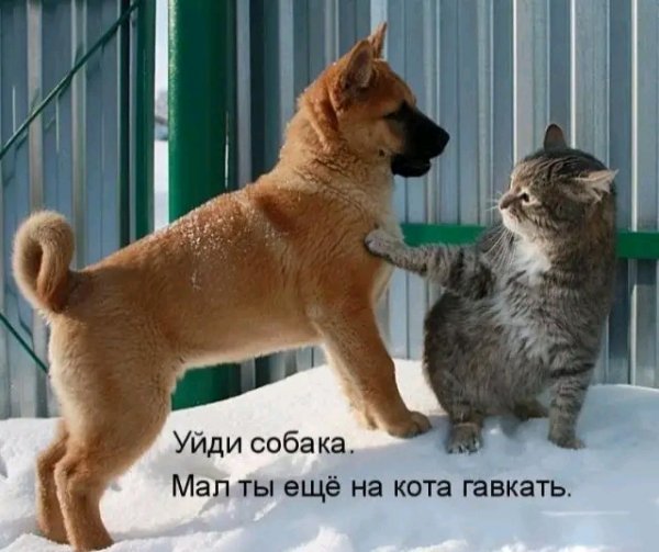 file_103519290
