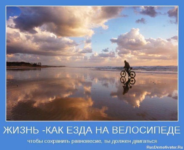 Жизнь...
