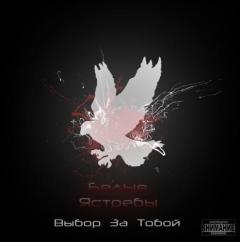 Белые Ястребы. Выбор за тобой