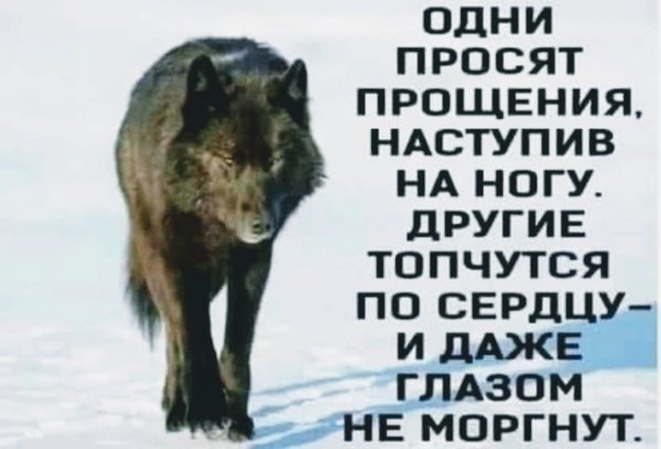 Одни-другие