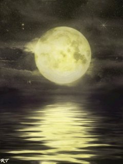 file_46965202
