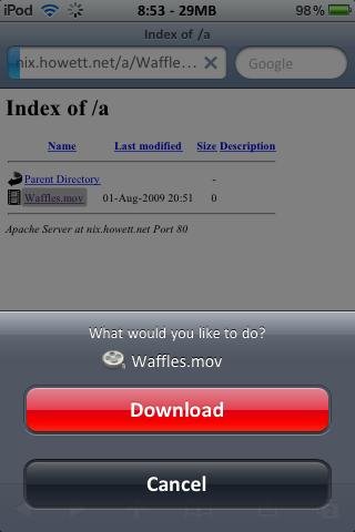 safari download manager