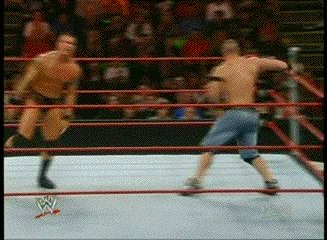 Orton Cena 48 doc-11203246 88