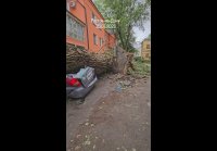 Дерево завалилось сразу на несколько машин